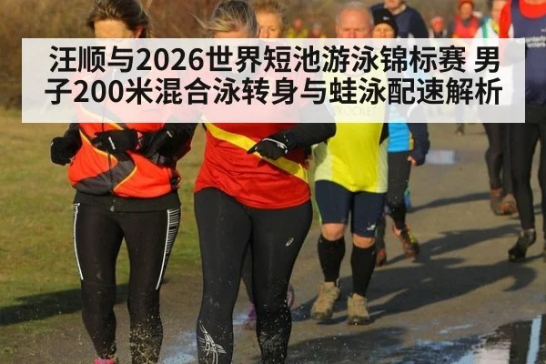 汪顺与2026世界短池游泳锦标赛 男子200米混合泳转身与蛙泳配速解析